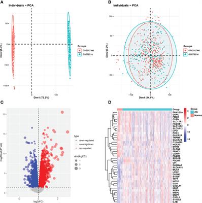 Identification of immune infiltration and cuproptosis-related subgroups in Crohn’s disease